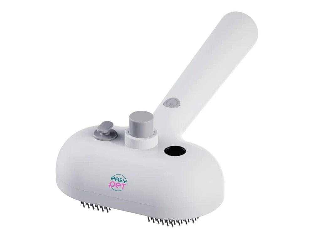 Spazzola a vapore 2 in 1