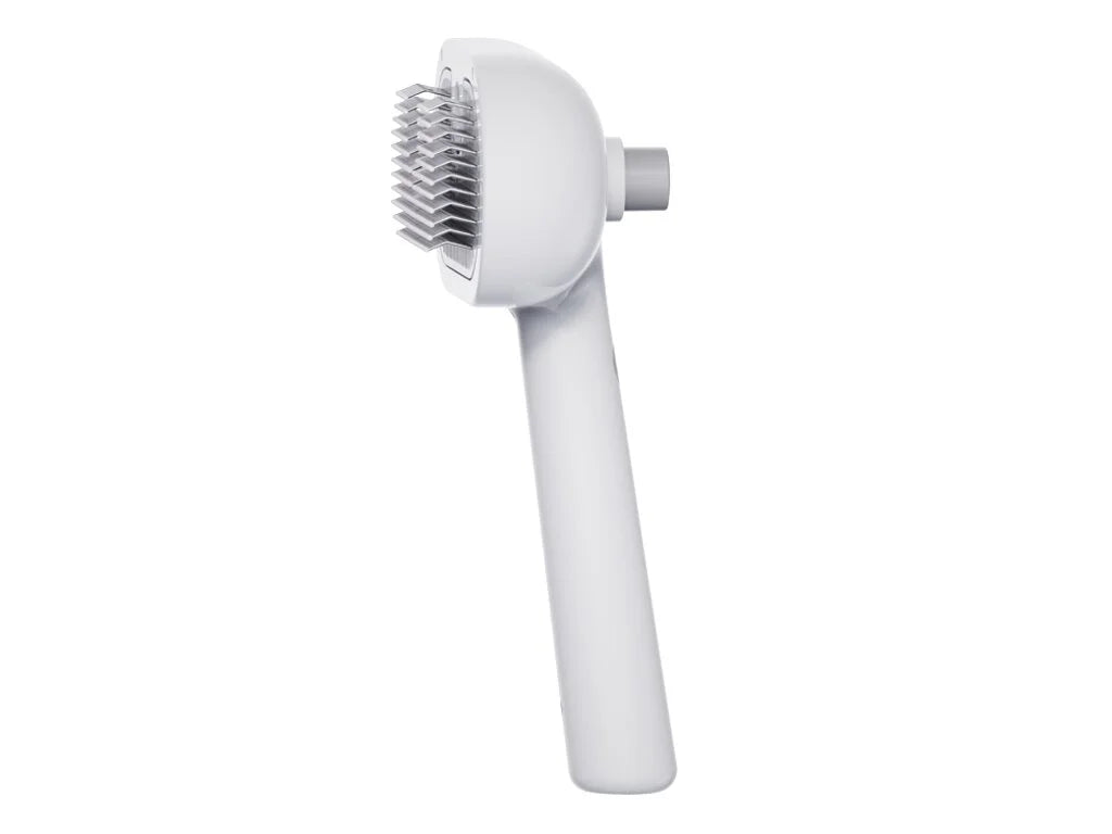 Spazzola a vapore 2 in 1