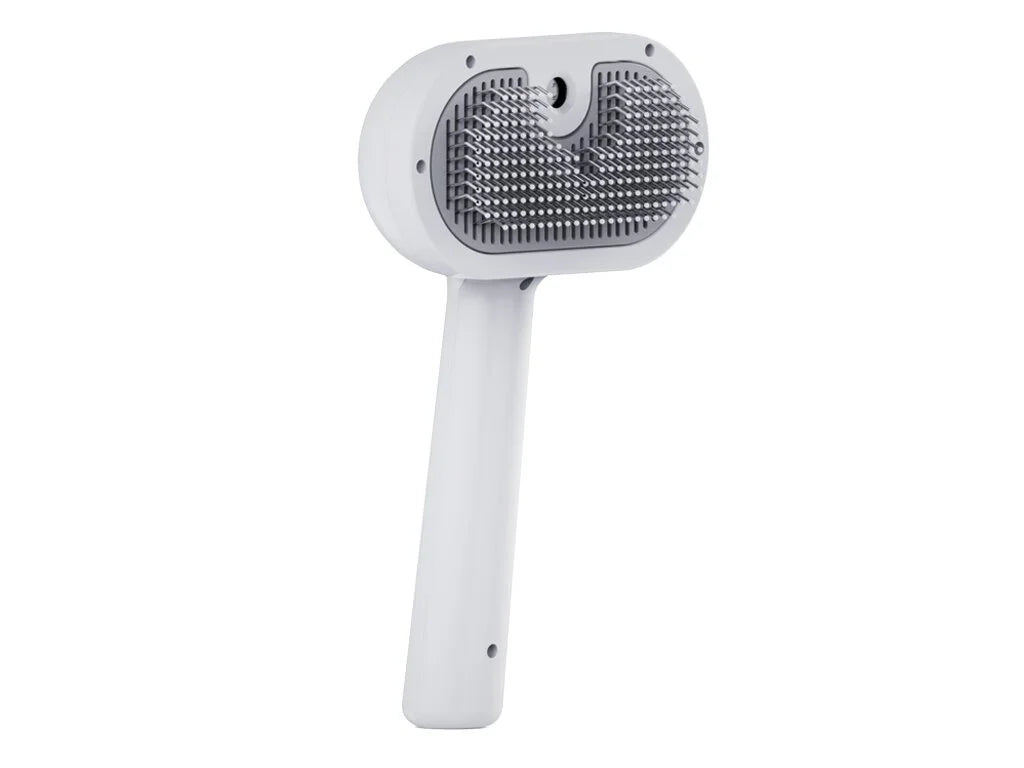 Spazzola a vapore 2 in 1